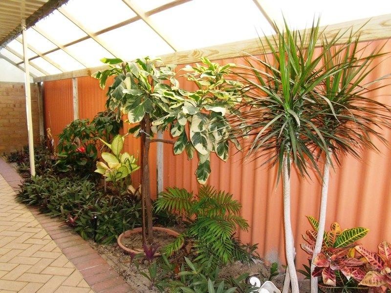 16 Bootoo Street, Lancelin WA 6044