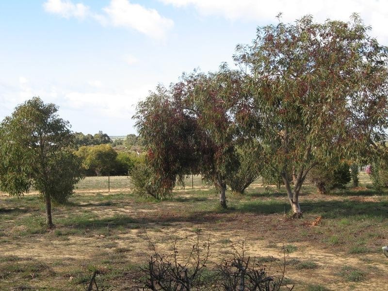 108 Heffron Way, Gabbadah WA 6041