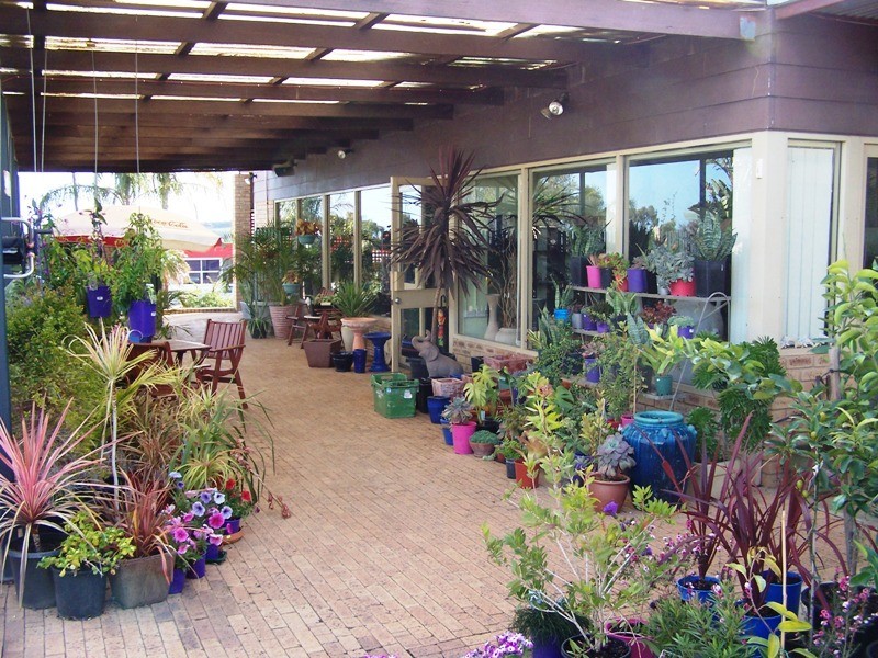 61 Fenton Place, Wongan Hills WA 6603