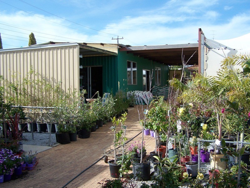 61 Fenton Place, Wongan Hills WA 6603