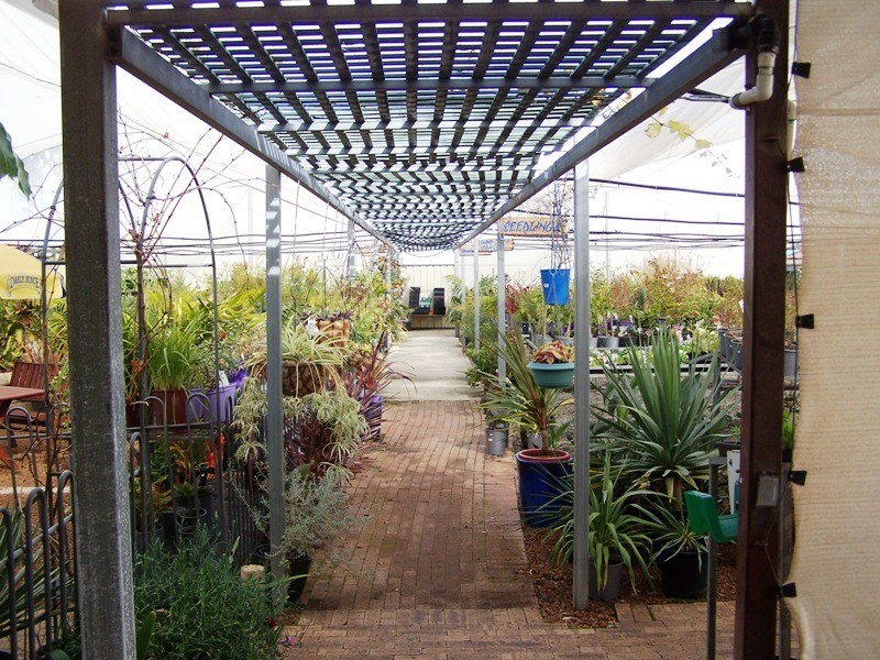 61 Fenton Place, Wongan Hills WA 6603