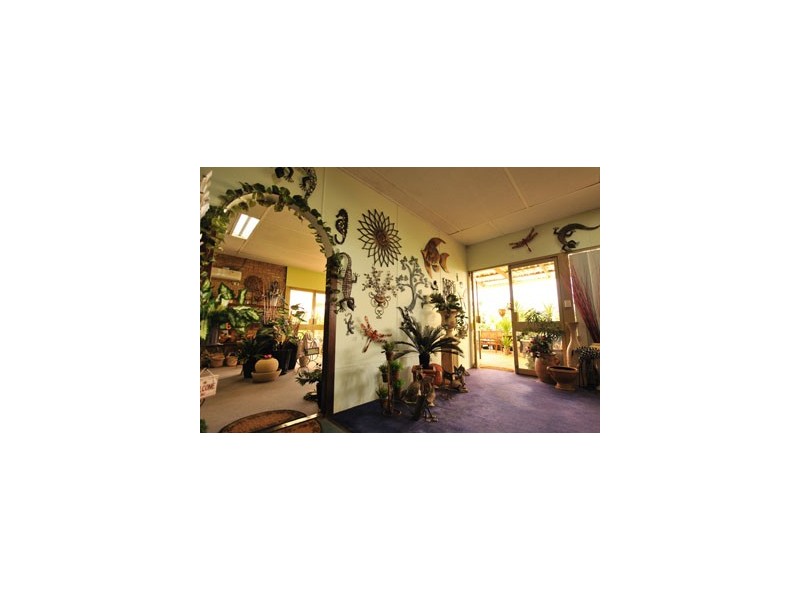 61 Fenton Place, Wongan Hills WA 6603