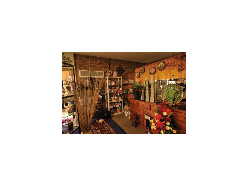 61 Fenton Place, Wongan Hills WA 6603