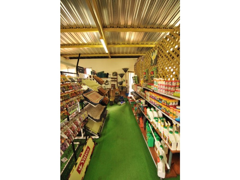 61 Fenton Place, Wongan Hills WA 6603