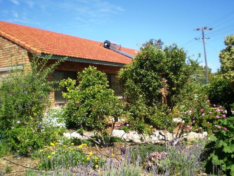 7 Kau Street, Green Head WA 6514