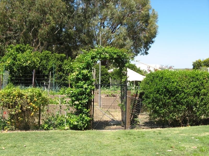 46 Heffron Way, Gabbadah WA 6041