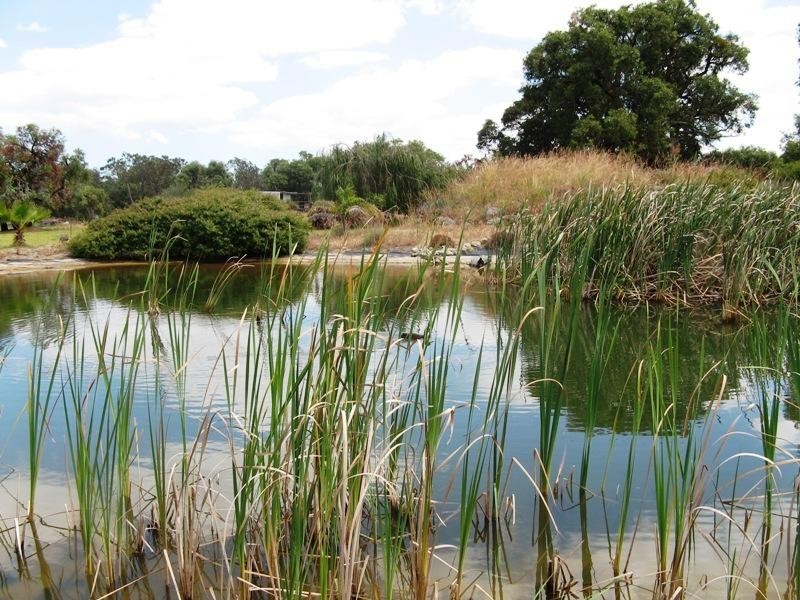 100 Dooling Road, Neergabby WA 6503