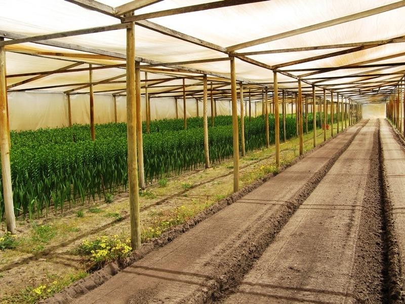 100 Dooling Road, Neergabby WA 6503