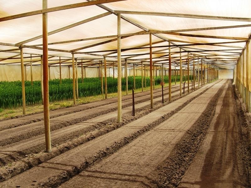 100 Dooling Road, Neergabby WA 6503