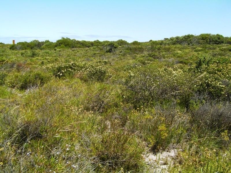 305 Pindari Place, Lancelin WA 6044