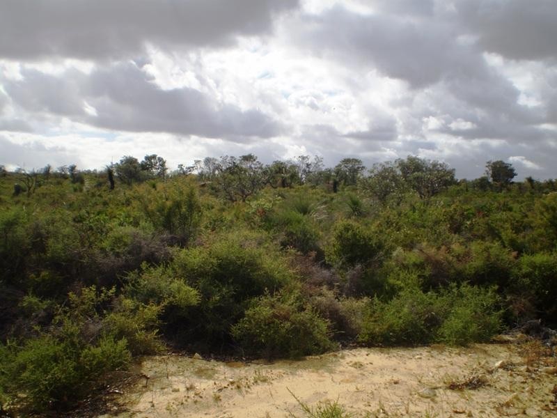 212 Echidna, Karakin WA 6044