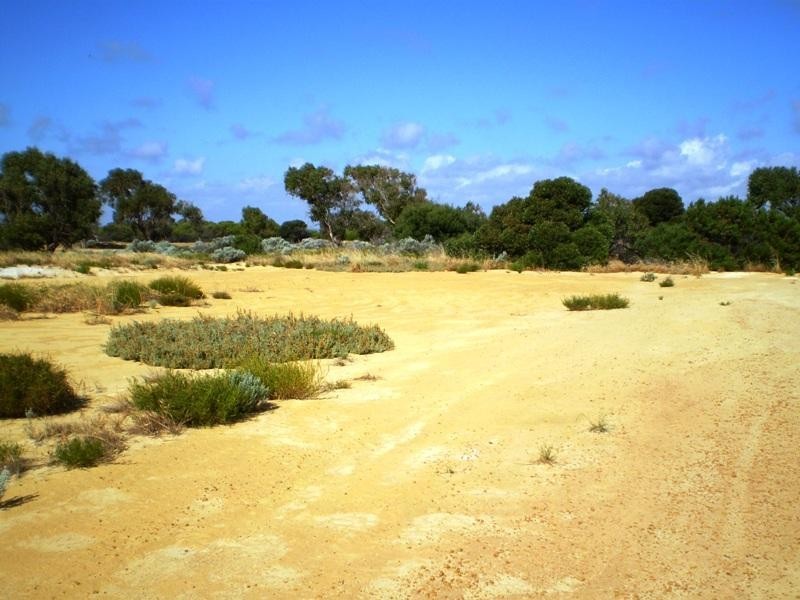 7 Green Head Road, Green Head WA 6514