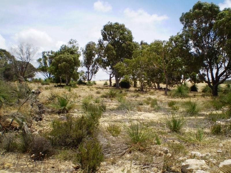 170 Banksia Way, Nilgen WA 6044