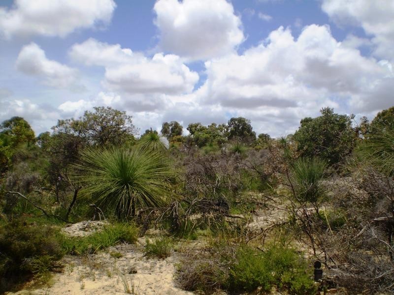 170 Banksia Way, Nilgen WA 6044