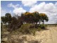 170 Banksia Way, Nilgen WA 6044