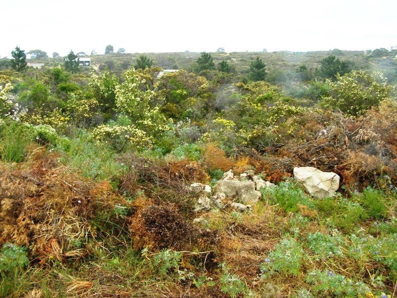 Lot 91 Seaview Drive, Lancelin WA 6044