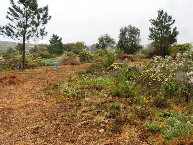 Lot 91 Seaview Drive, Lancelin WA 6044