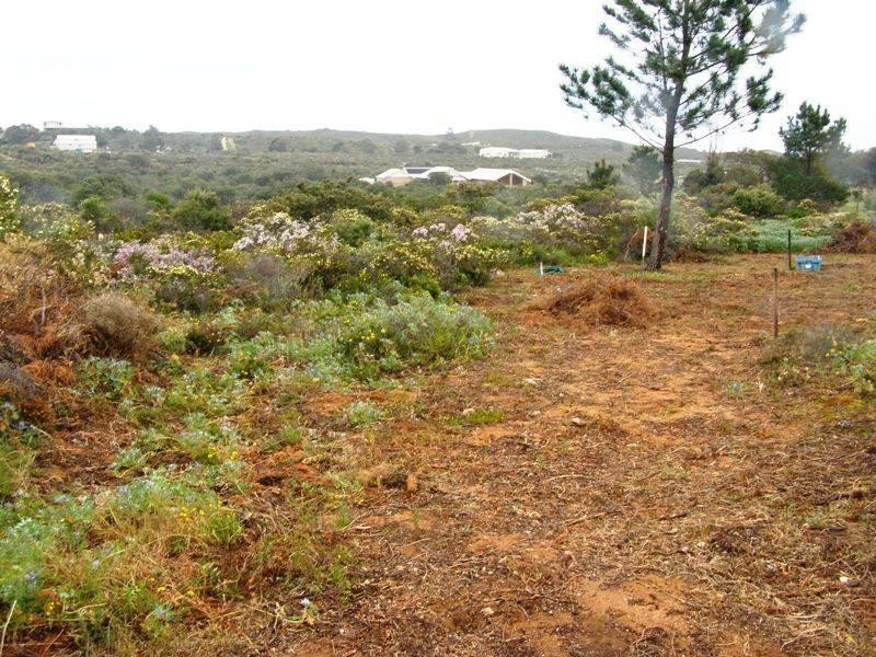 Lot 91 Seaview Drive, Lancelin WA 6044