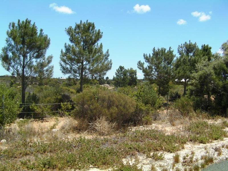 Lot 91 Seaview Drive, Lancelin WA 6044