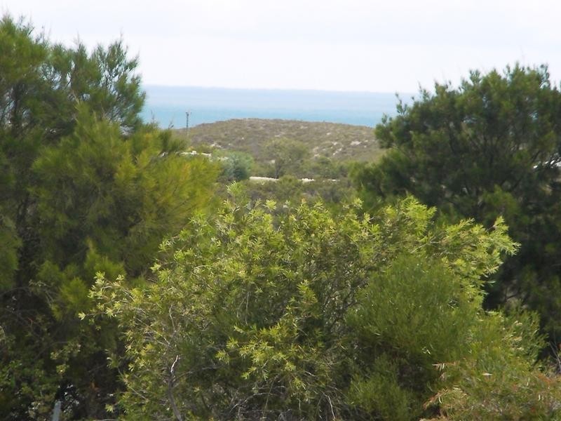 Lot 226 The Ridge, Lancelin WA 6044