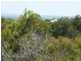 Lot 226 The Ridge, Lancelin WA 6044