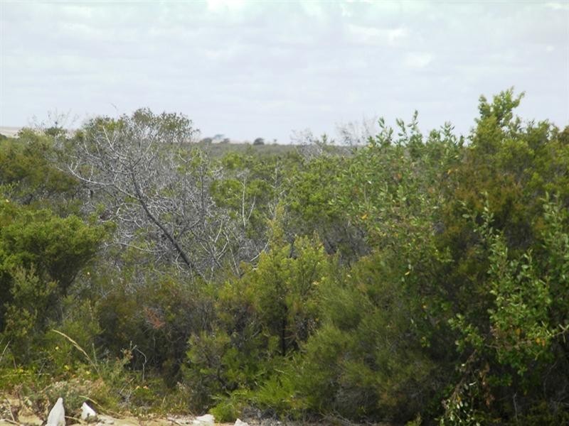 Lot 226 The Ridge, Lancelin WA 6044