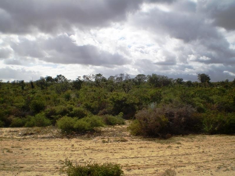 212 Echidna Trail, Karakin WA 6044