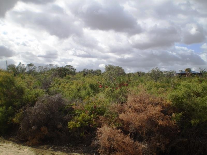 212 Echidna Trail, Karakin WA 6044