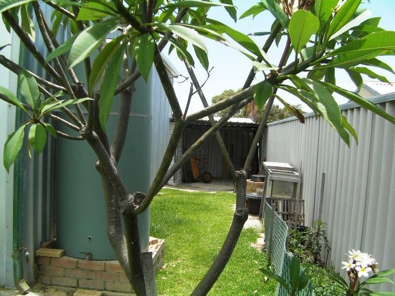 13 Craig Way, Lancelin WA 6044