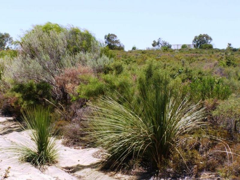 148 Westerly Way, Lancelin WA 6044