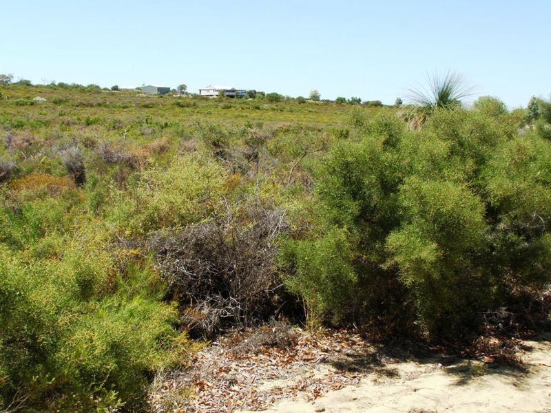 148 Westerly Way, Lancelin WA 6044