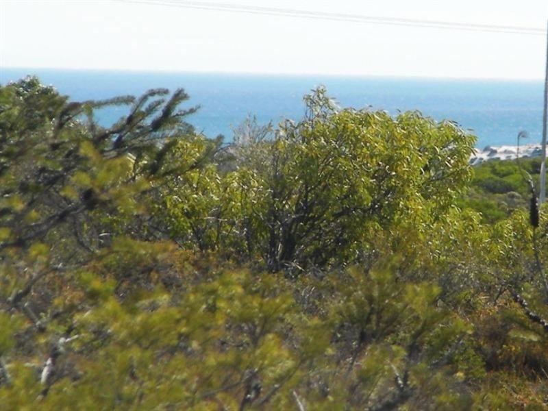 20 The Lookout, Karakin WA 6044