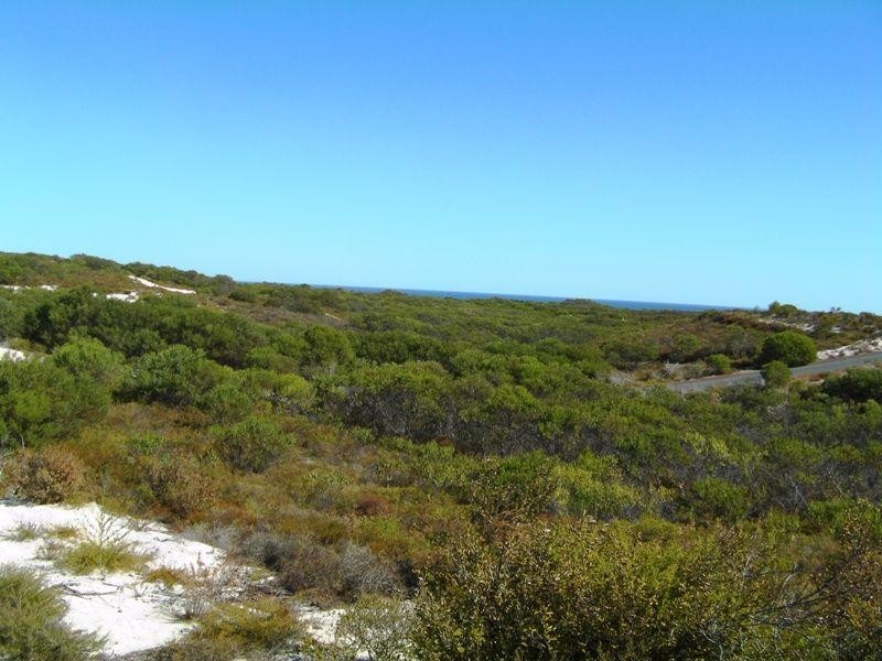 292 Pindari Place, Lancelin WA 6044