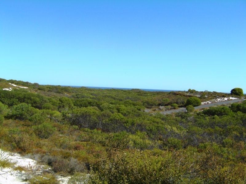 292 Pindari Place, Lancelin WA 6044