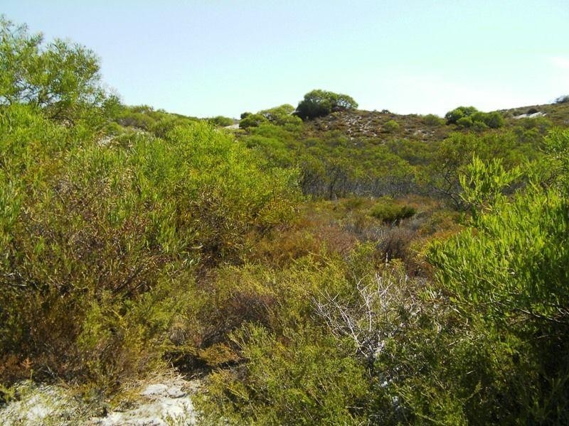 292 Pindari Place, Lancelin WA 6044