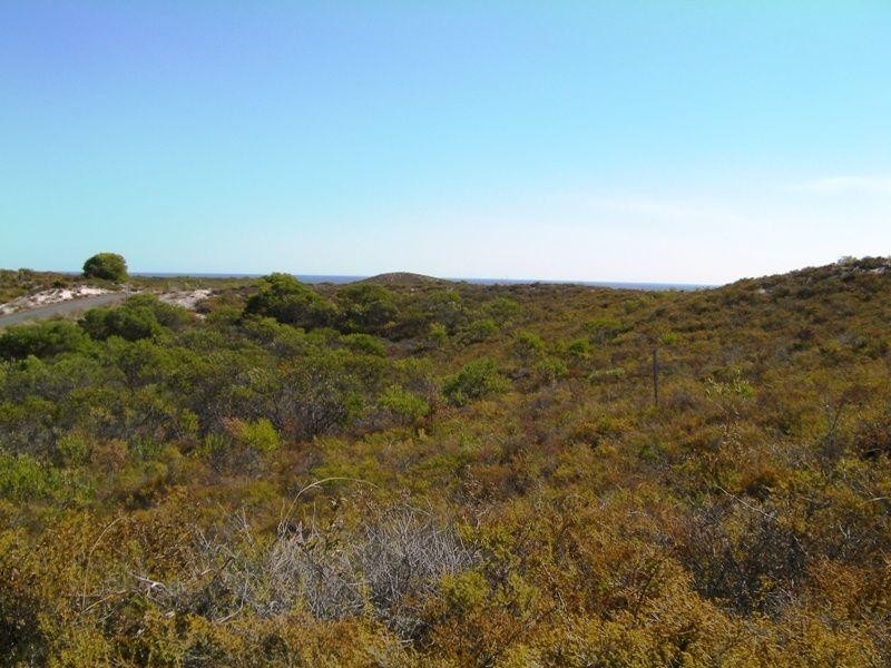 292 Pindari Place, Lancelin WA 6044