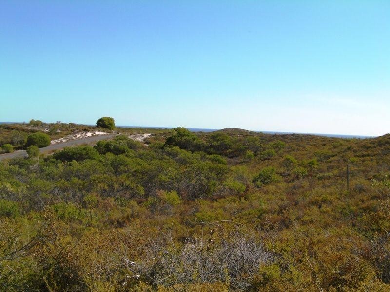 292 Pindari Place, Lancelin WA 6044