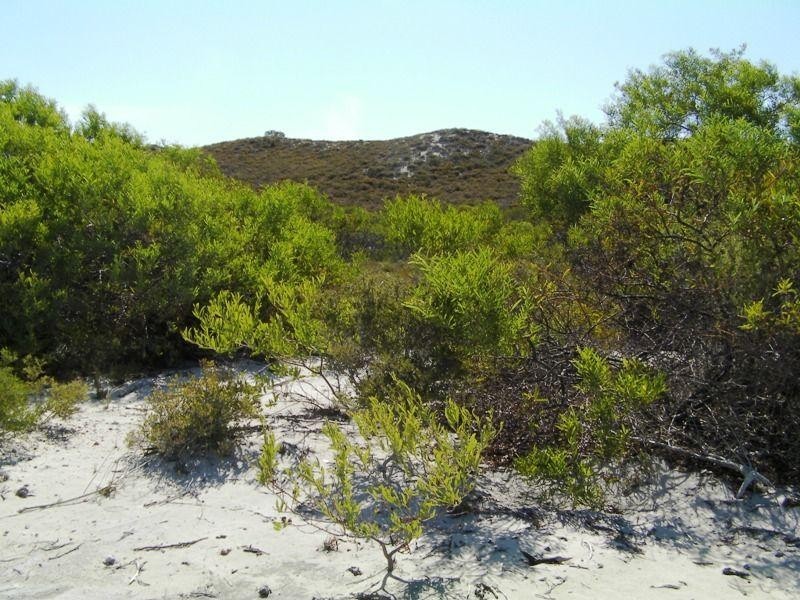 292 Pindari Place, Lancelin WA 6044