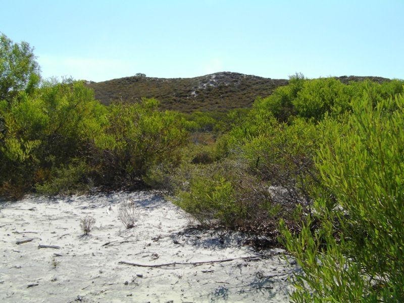 292 Pindari Place, Lancelin WA 6044