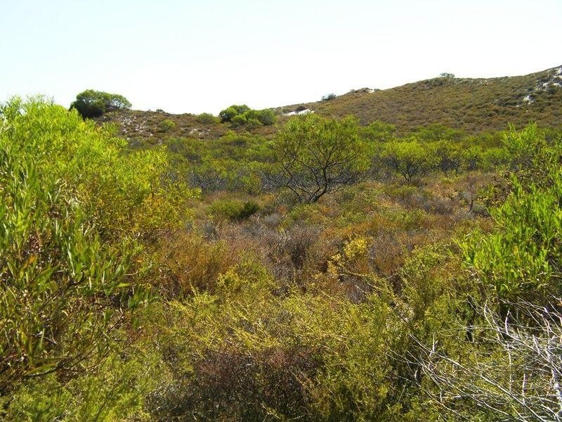 292 Pindari Place, Lancelin WA 6044