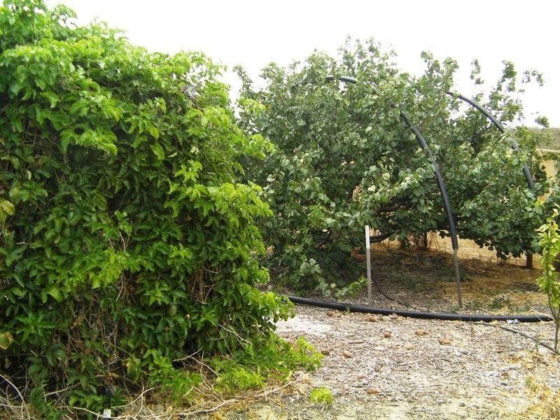 Lot 10 The Lookout, Lancelin WA 6044