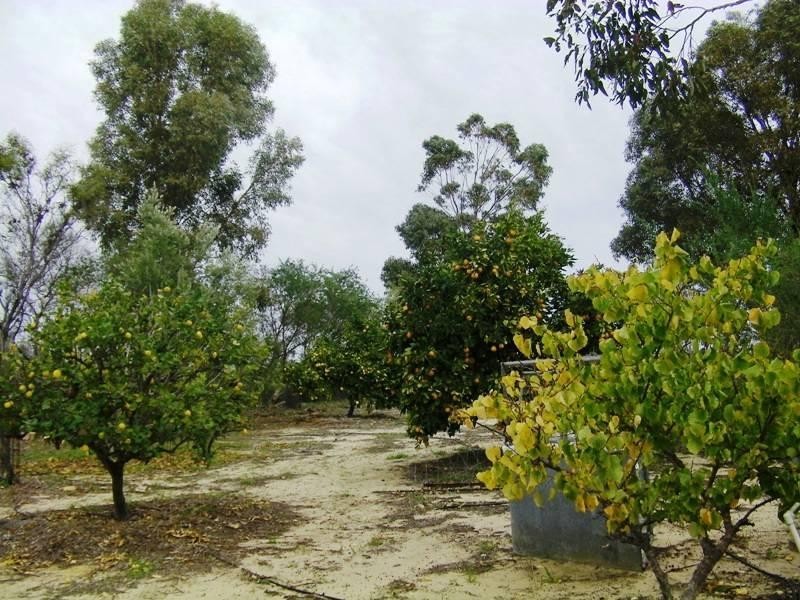 54 Banksia Way, Nilgen WA 6044