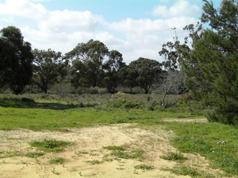 68 Kangaroo Way, Lancelin WA 6044