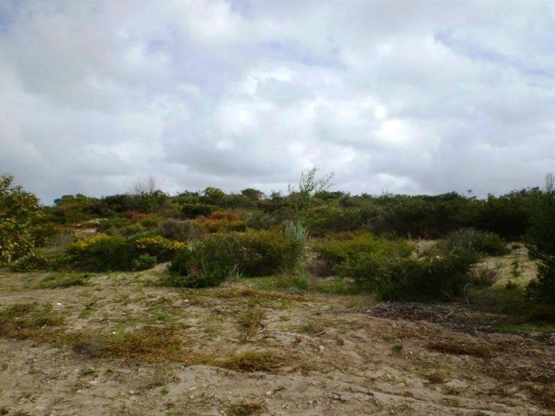 305 Pindari Place, Karakin WA 6044