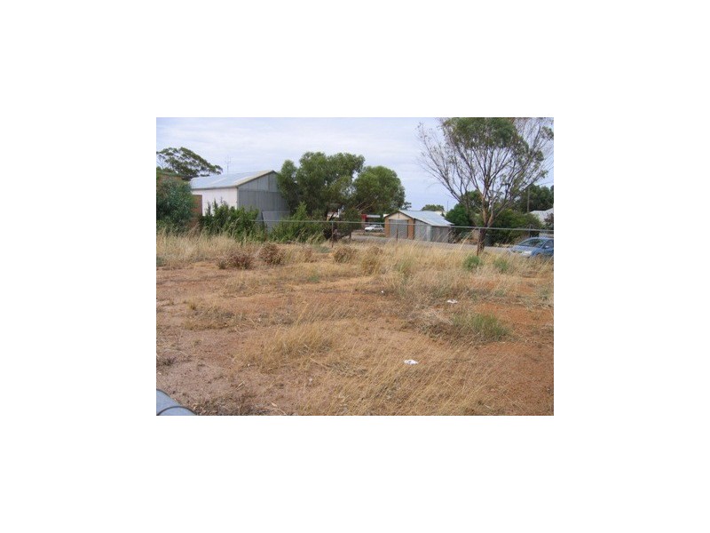26 Elphin Crescent, Wongan Hills WA 6603