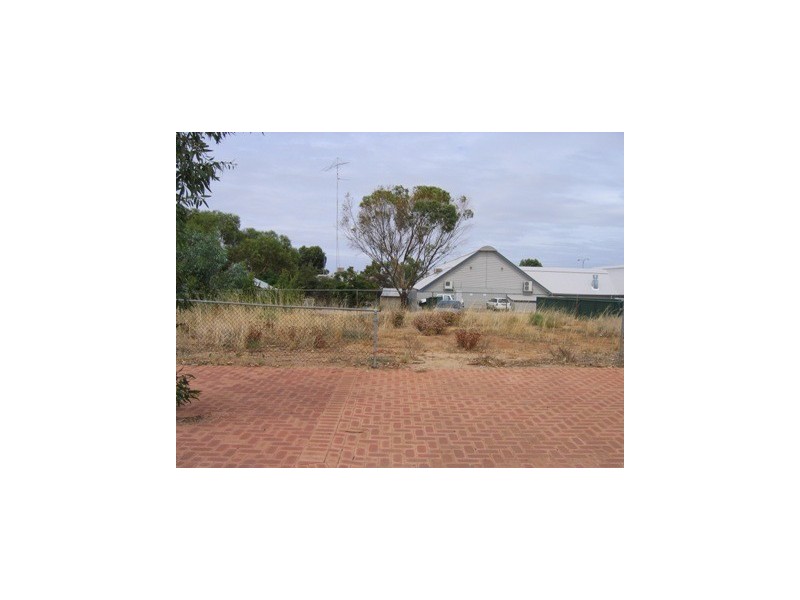 26 Elphin Crescent, Wongan Hills WA 6603