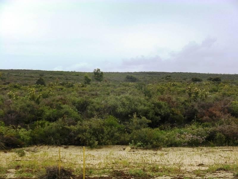Lot 256 Echidna Trail, Karakin WA 6044