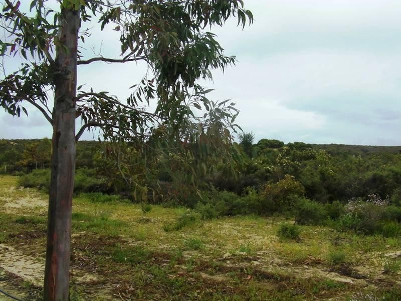 Lot 256 Echidna Trail, Karakin WA 6044