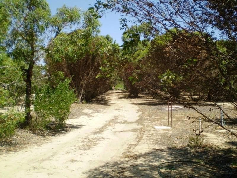 44 Ocean Place, Lancelin WA 6044