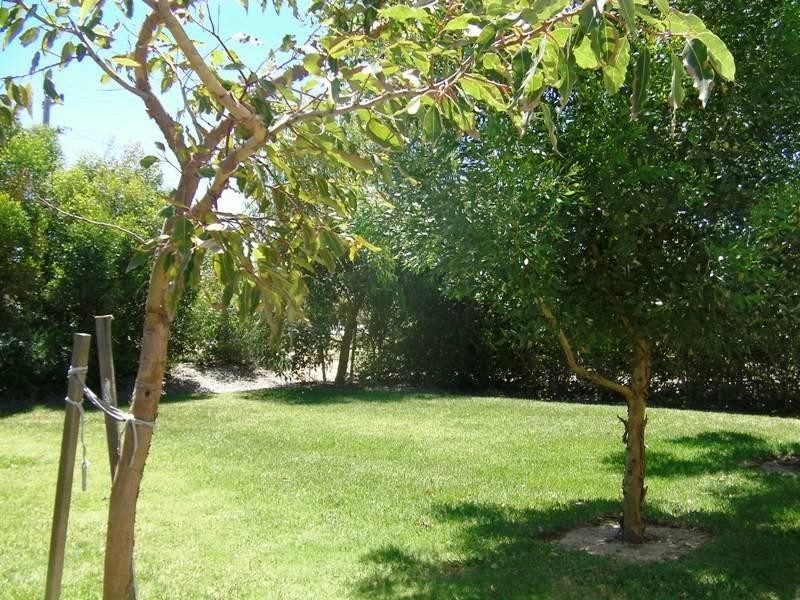 91 Gingin Road, Lancelin WA 6044